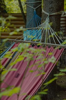An empty hammock tied between trees in a serene outdoor setting among leaves and logs.
