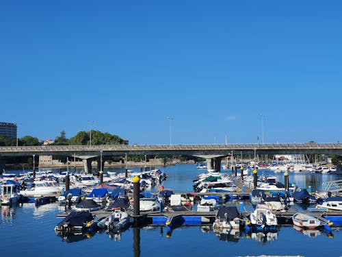Бесплатное стоковое фото с гавань, инфраструктура, лодки