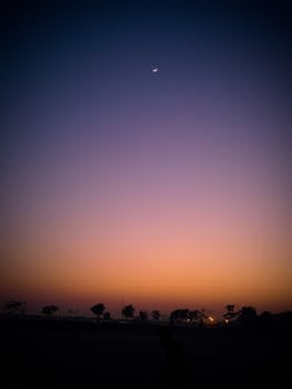 在印度加尔各答，美丽的黄昏天空中有一弯新月和树的剪影