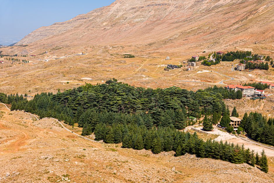 Cedars of God à Bcharré