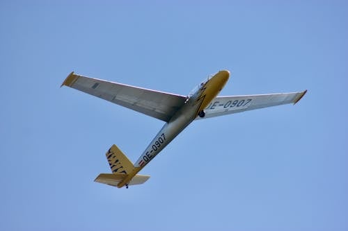 Gratis stockfoto met bromvlieg, luchtvaart, vliegen Stockfoto