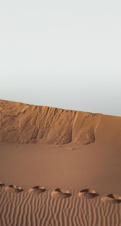 Wind-carved sand dunes at golden hour — photo by Mostafa Ft.shots on Pexels