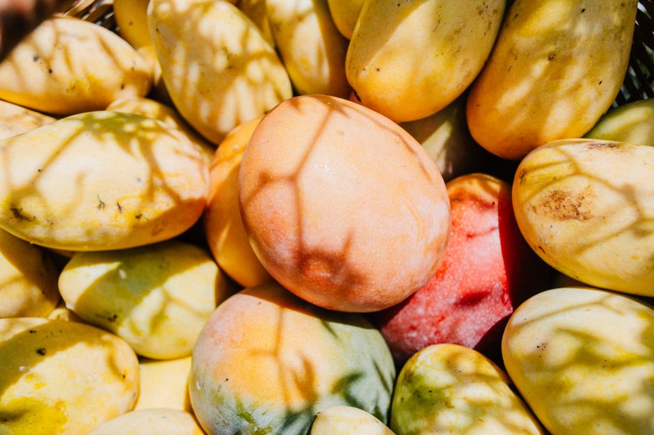 Close-up of ripe mangoes in sunlight, Heroica Veracruz market.