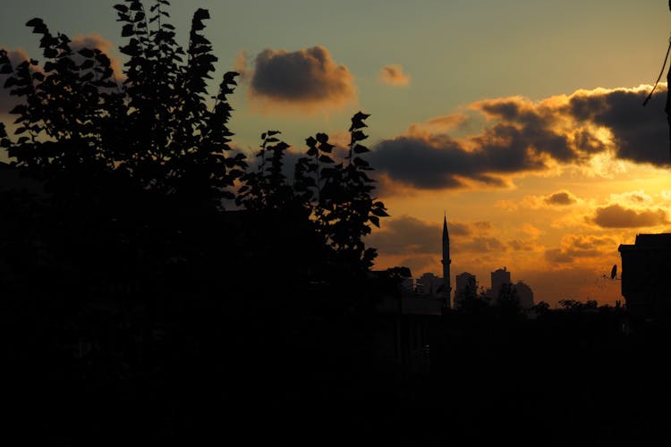 Silhouetted City Skyline And Trees At Sunset 