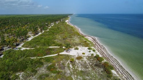 Foto profissional grátis de costa, fotografia com drone, horizonte