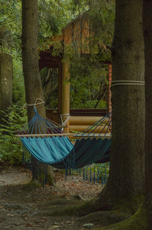 Free Blue Hammock Hanged on A Tree Stock Photo