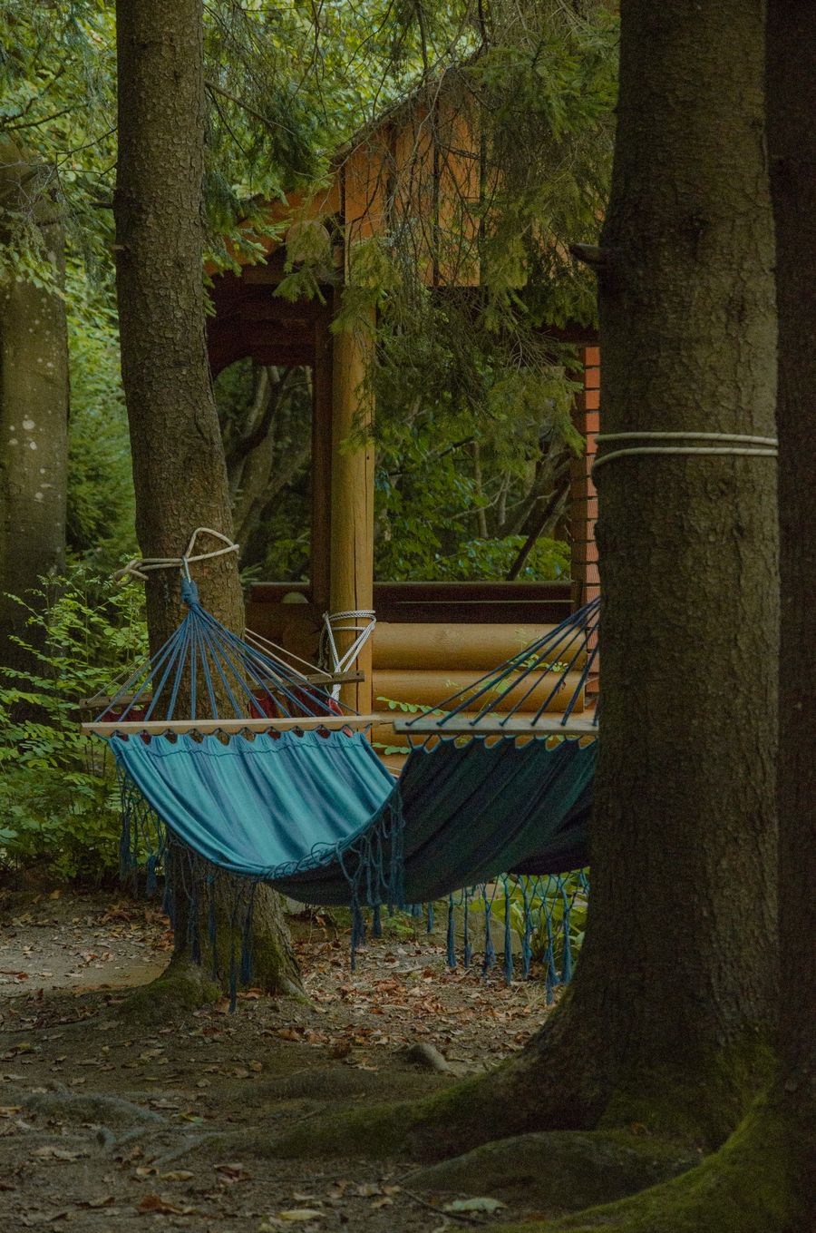 Drift Double Camping Hammock