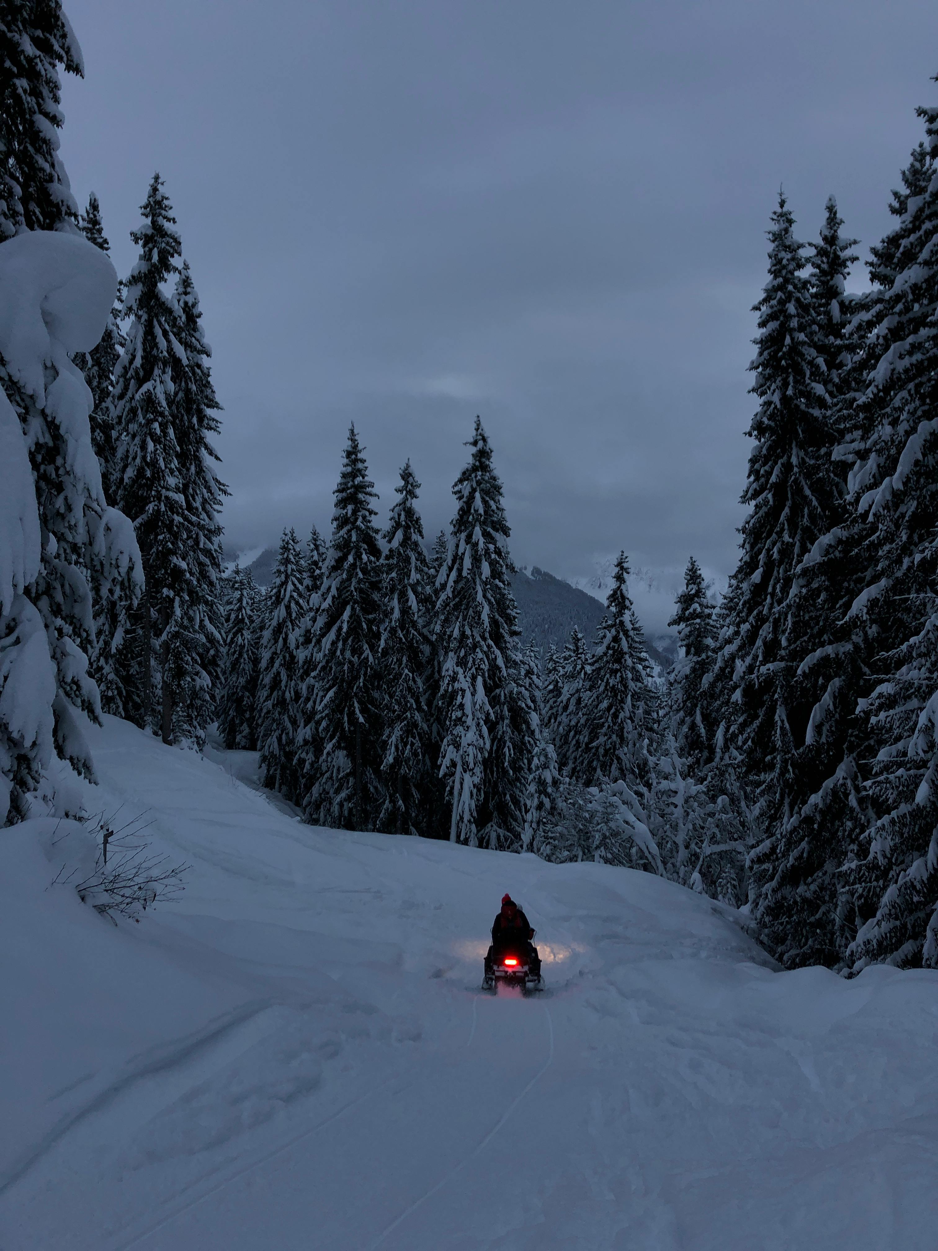 Prescription Goggle Inserts - Snowmobile navigating a snowy alpine path surrounded by tall conifer trees under an overcast sky.