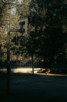Dark and abandoned basketball court with a weathered hoop in moody natural setting.