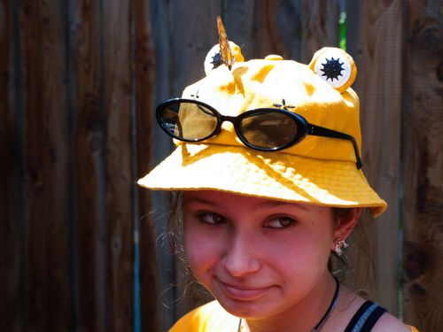 Free stock photo of butterfly, frog, hat Stock Photo