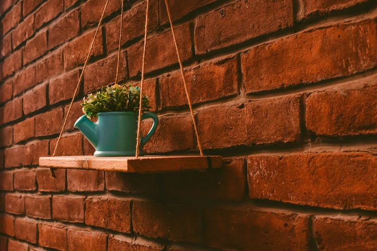 Green Potted Plant Hanging On Brown Brick Wall