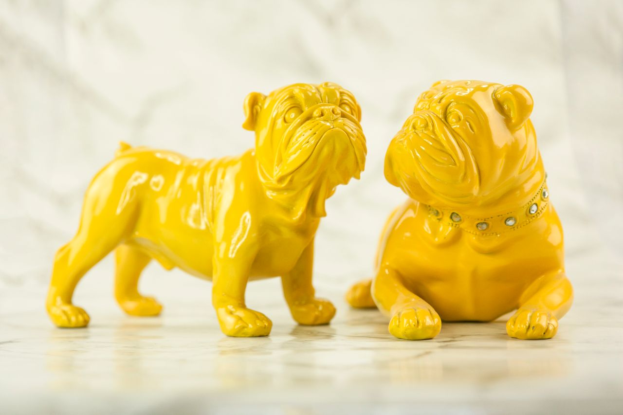 a pair of vibrant yellow bulldog sculptures on a marble background per