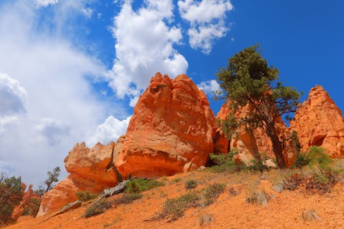 Rock Formations in Bryce National Park in Utah