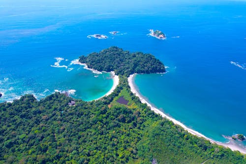 Green Trees Near Blue Sea