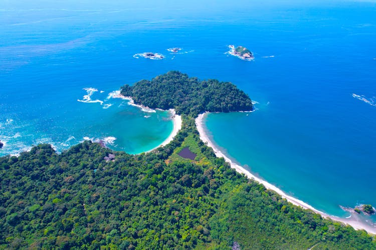 Green Trees Near Blue Sea