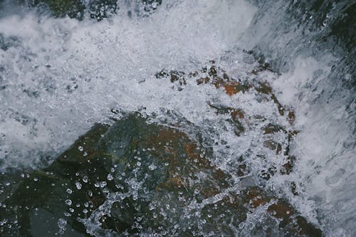 Бесплатное стоковое фото с вода
