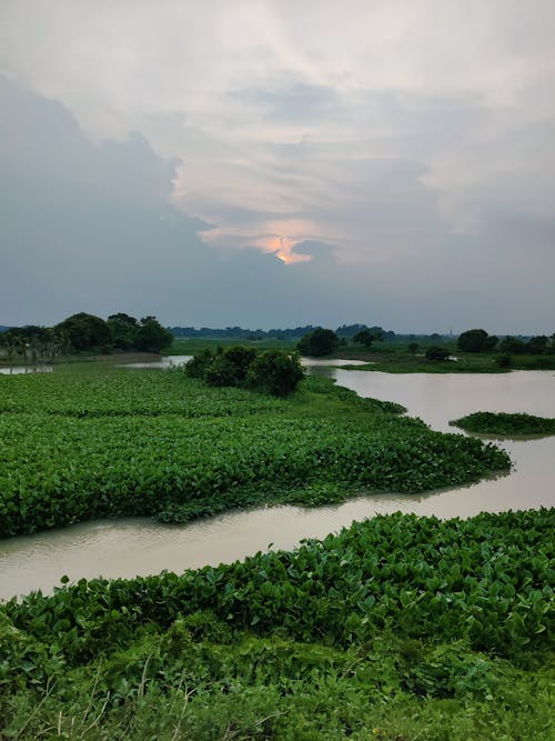 Foto stok gratis agrikultura, air, danau