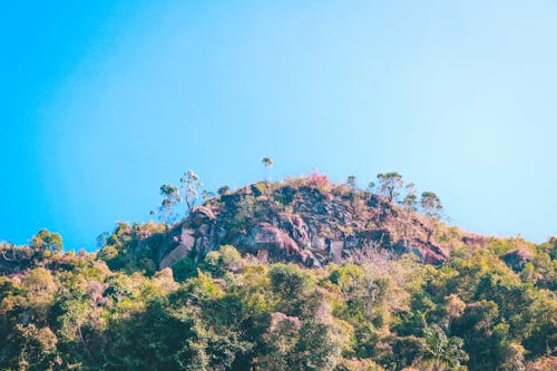 Free stock photo of aeroplane, blue sky, green