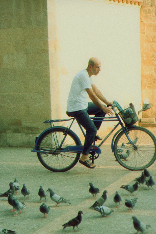 Безкоштовне стокове фото на тему «велосипед, вертикальні постріл, Голуби»