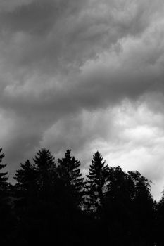 Dramatic monochrome scenery with silhouetted trees against a cloudy sky.