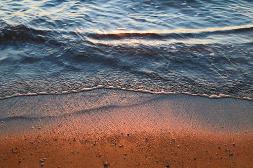 Gratis arkivbilde med brun sand, krasj bølger, sjøkysten