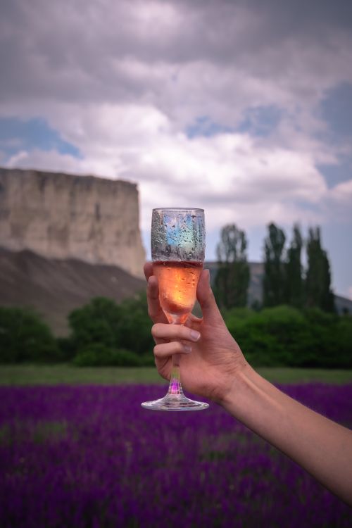 Free A hand holds a glass of rosé wine in a vibrant lavender field against a rocky cliff backdrop. Stock Photo