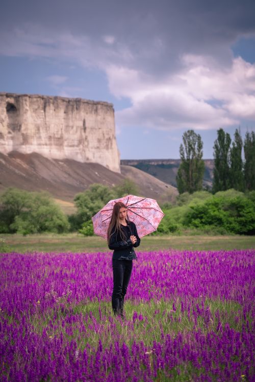 Free Young woman holding a floral umbrella in a vibrant purple lavender field with scenic cliffs in the background. Stock Photo
