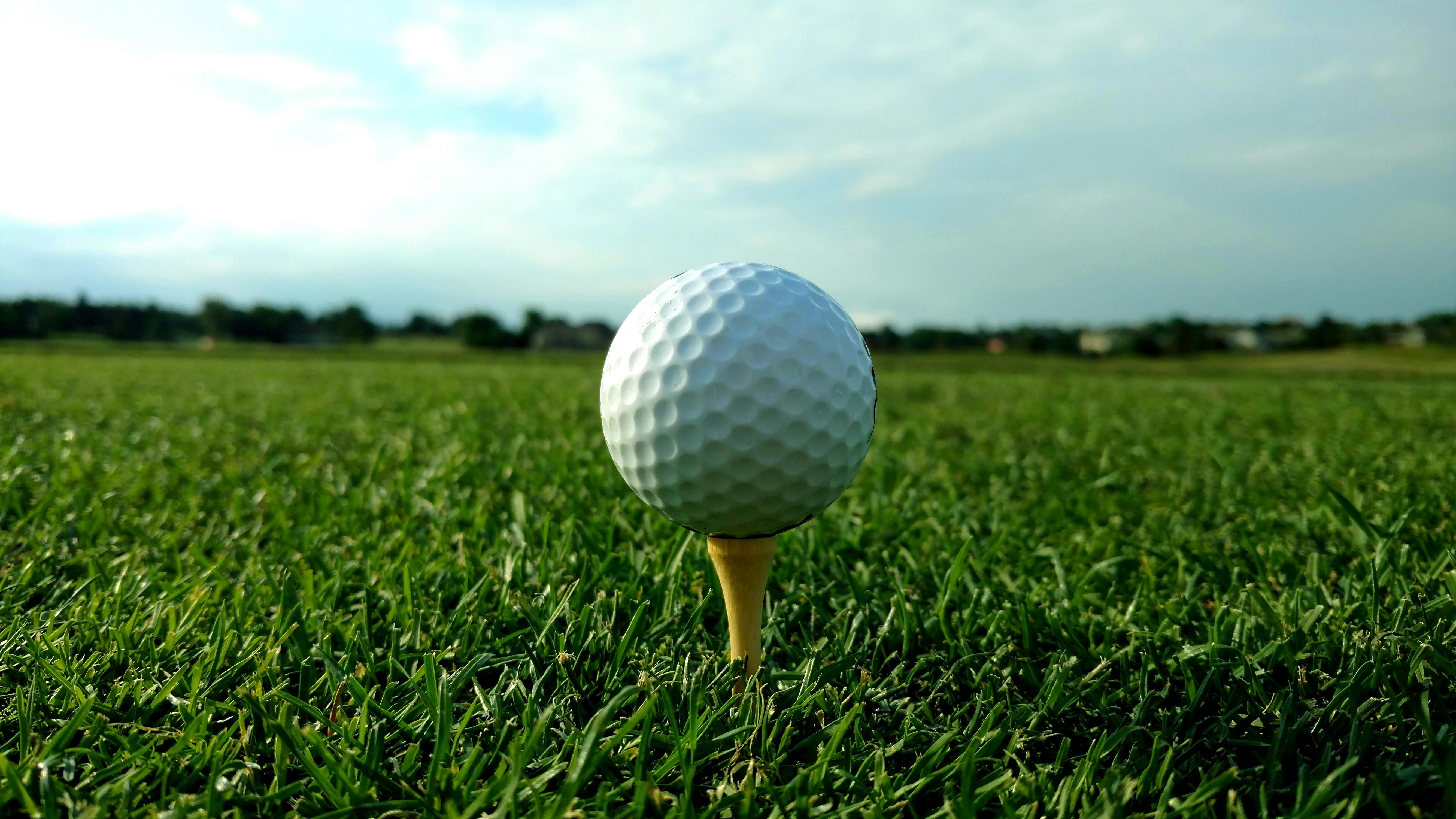 Gratis stockfoto van golf, golfbal, groen gras.