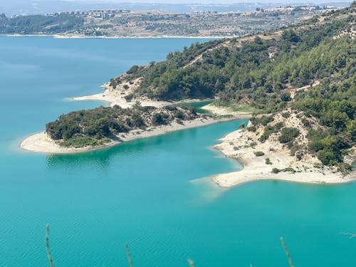 ağaçlar, deniz, deniz kıyısı içeren Ücretsiz stok fotoğraf