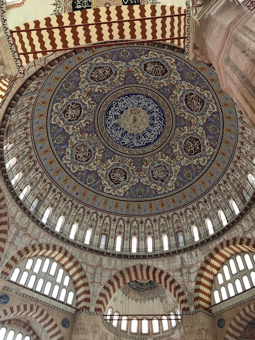 Blue and Brown Floral Ceiling