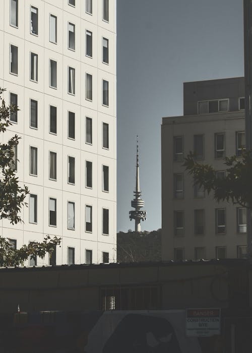 Telstra Tower의 사진