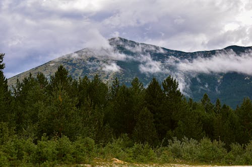 Ücretsiz ağaçlar, dağ silsilesi, dağlar içeren Ücretsiz stok fotoğraf Stok Fotoğraflar