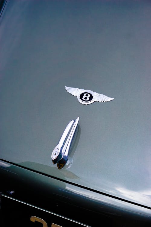 Emblem of a Luxury Silver Car