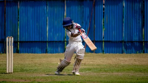 Batting averages are asked to carry more meaning than they can hold