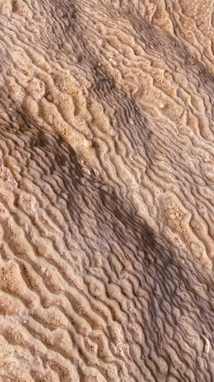 Texture Of Desert