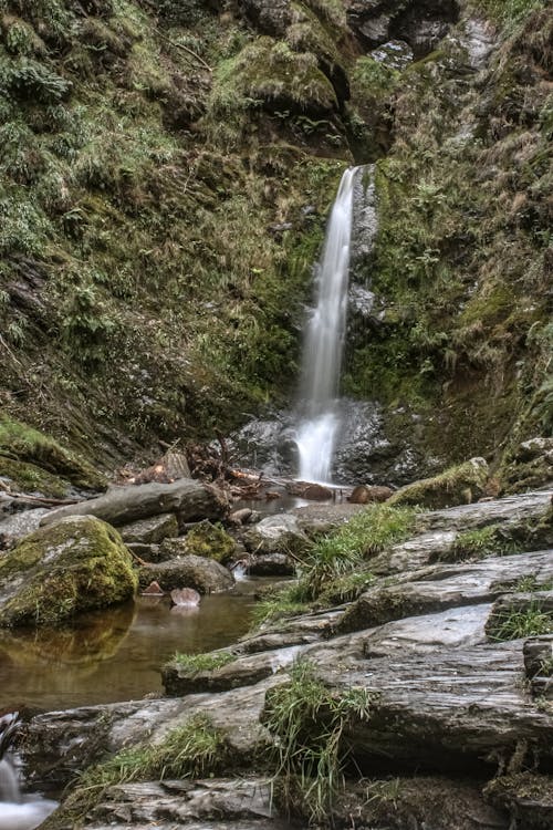 Foto stok gratis air mengalir, air terjun, aliran