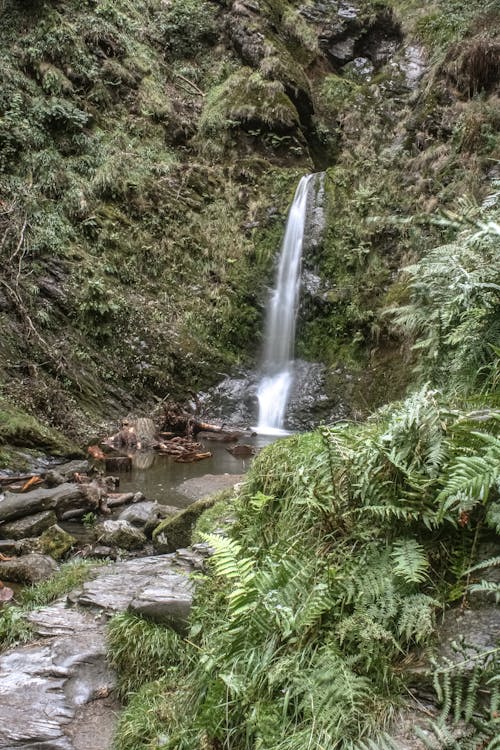 Water Falls in the Middle of the Forest