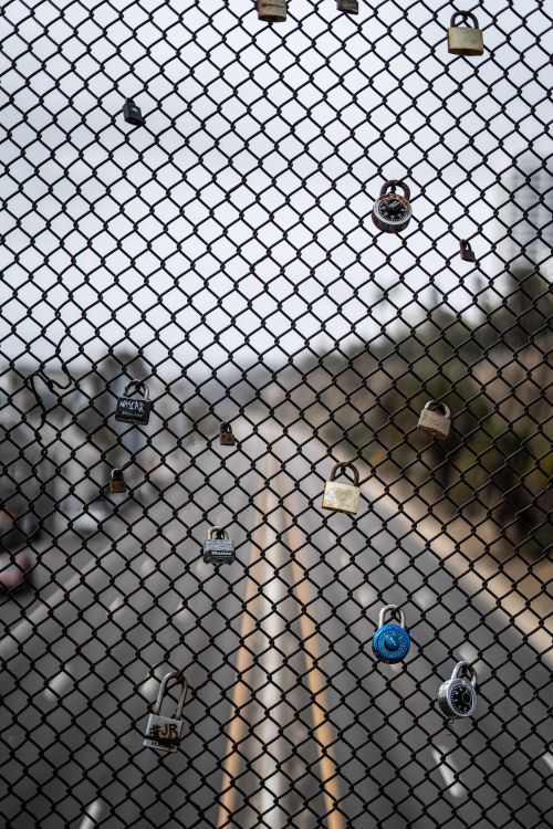 Padlocks on Chain Link Fence · Free Stock Photo