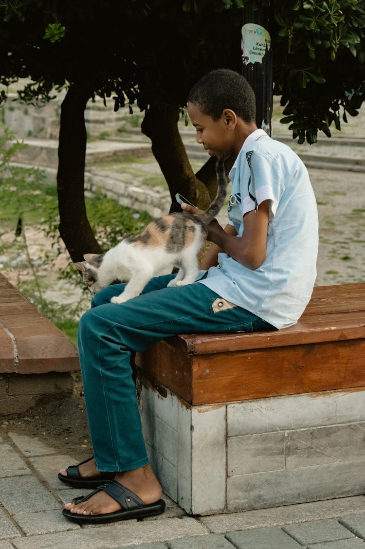 Young Boy Sitting On Bench In Park Holding Cat On His Lap