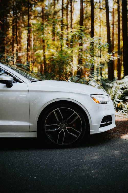 Car on a Road in a Forest 