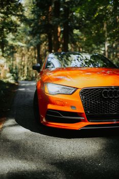 A striking orange car parked on a serene forest road, capturing nature and luxury.