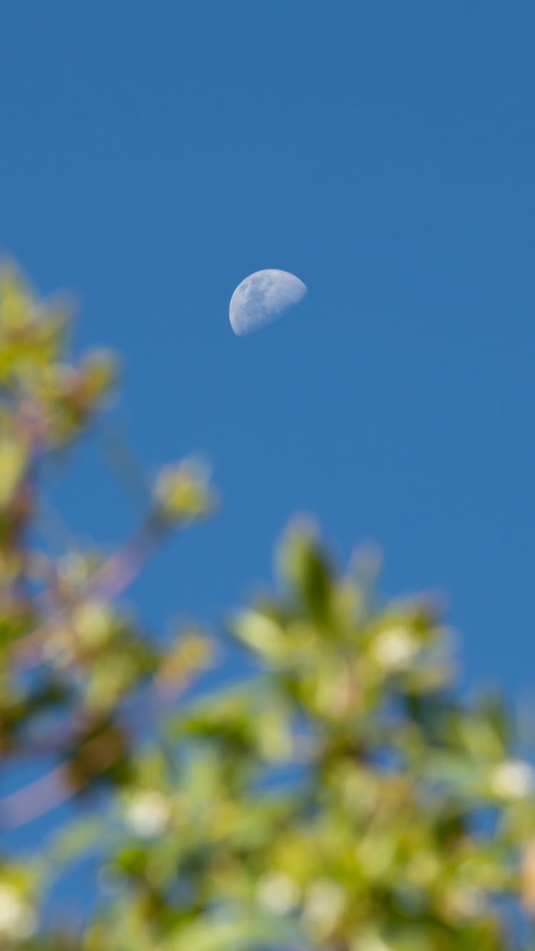 Photo Of The Half Moon