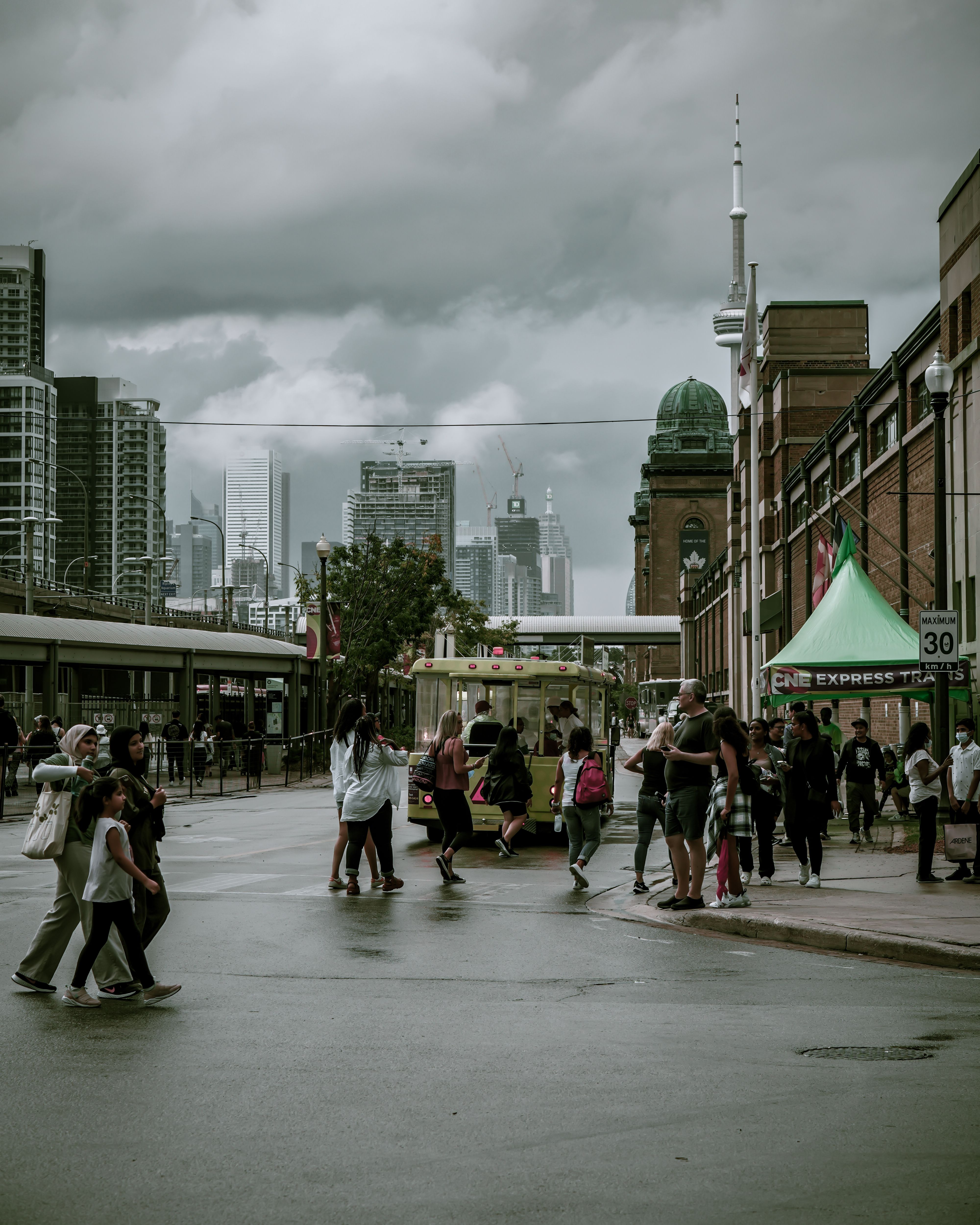 people-and-tree-on-city-street-free-stock-photo