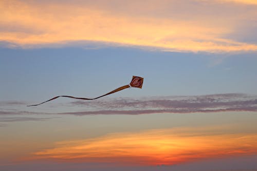 Flying a kite in sunset