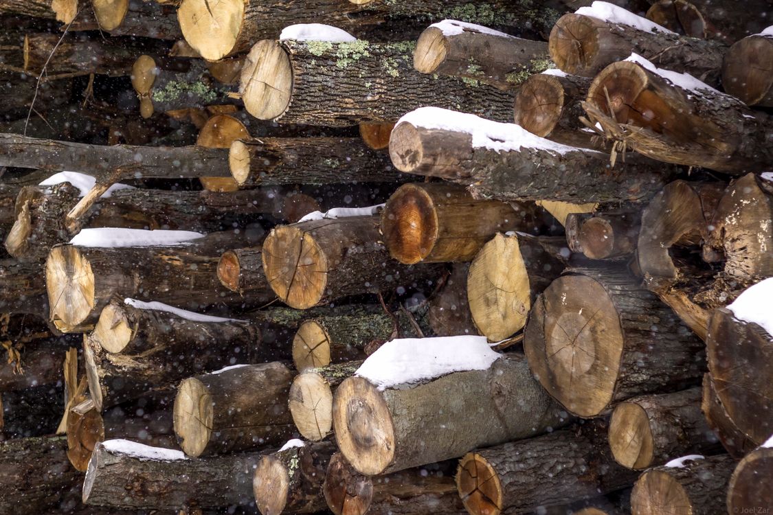 Brown and Gray Wood Logs · Free Stock Photo