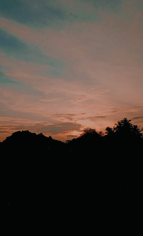 Free Stunning silhouette of trees against a vivid sunset in Pattukkottai, Tamil Nadu, India. Stock Photo