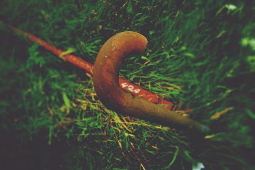Free stock photo of grass, pipe, rusty