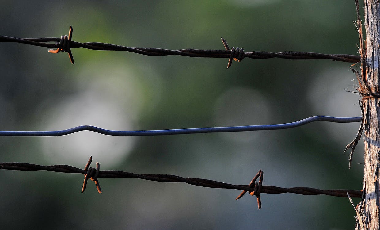 Barbed Wire in Close Up Shot