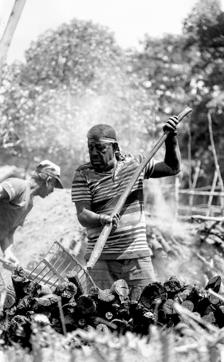 Men Working In Agriculture