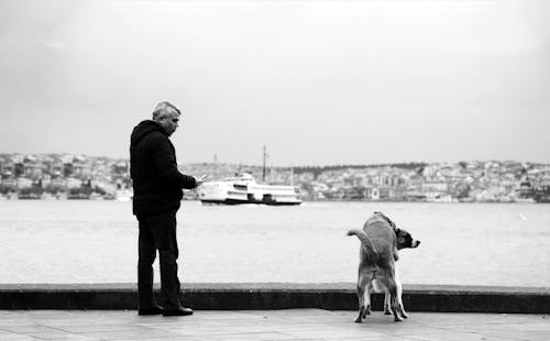 Man Looking at the Dogs
